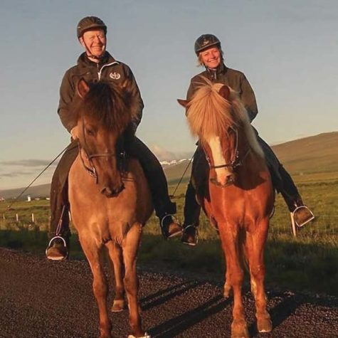 Sturlureykir Horse Farm - Iceland